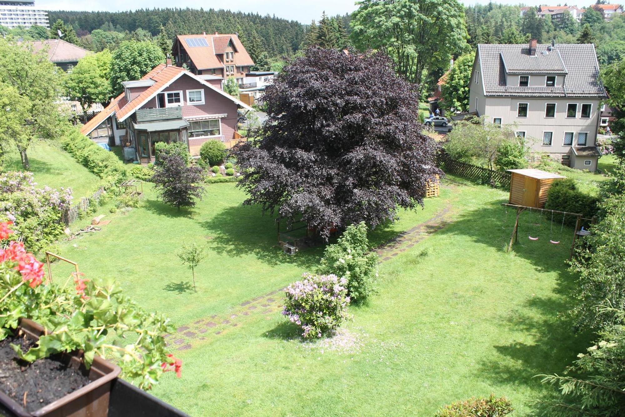 Ulrichshof Hotel Braunlage Exterior photo